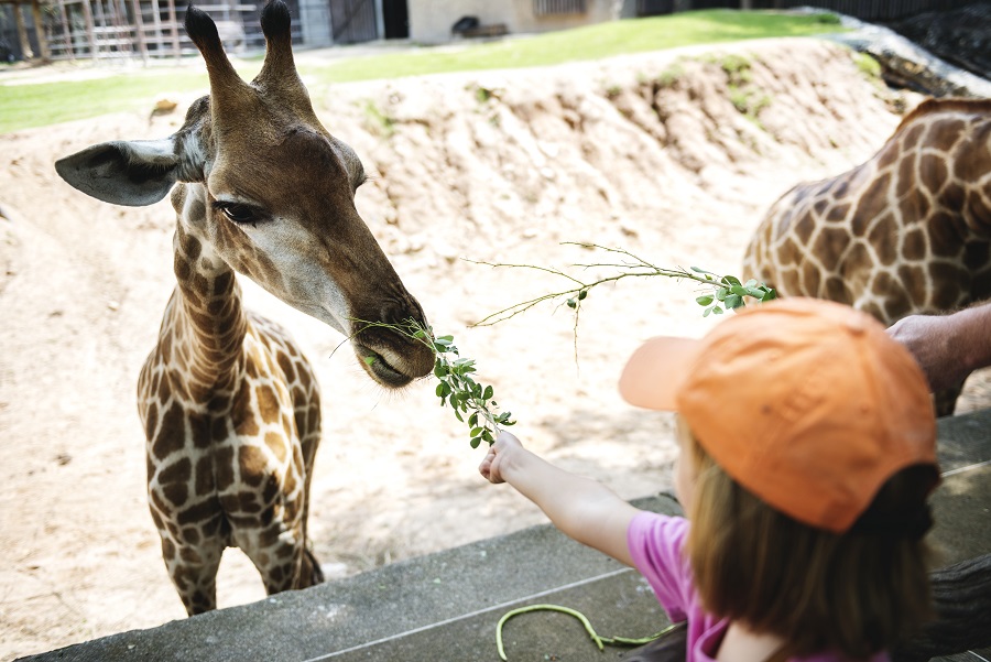 Bilingual Nurseries in Dubai